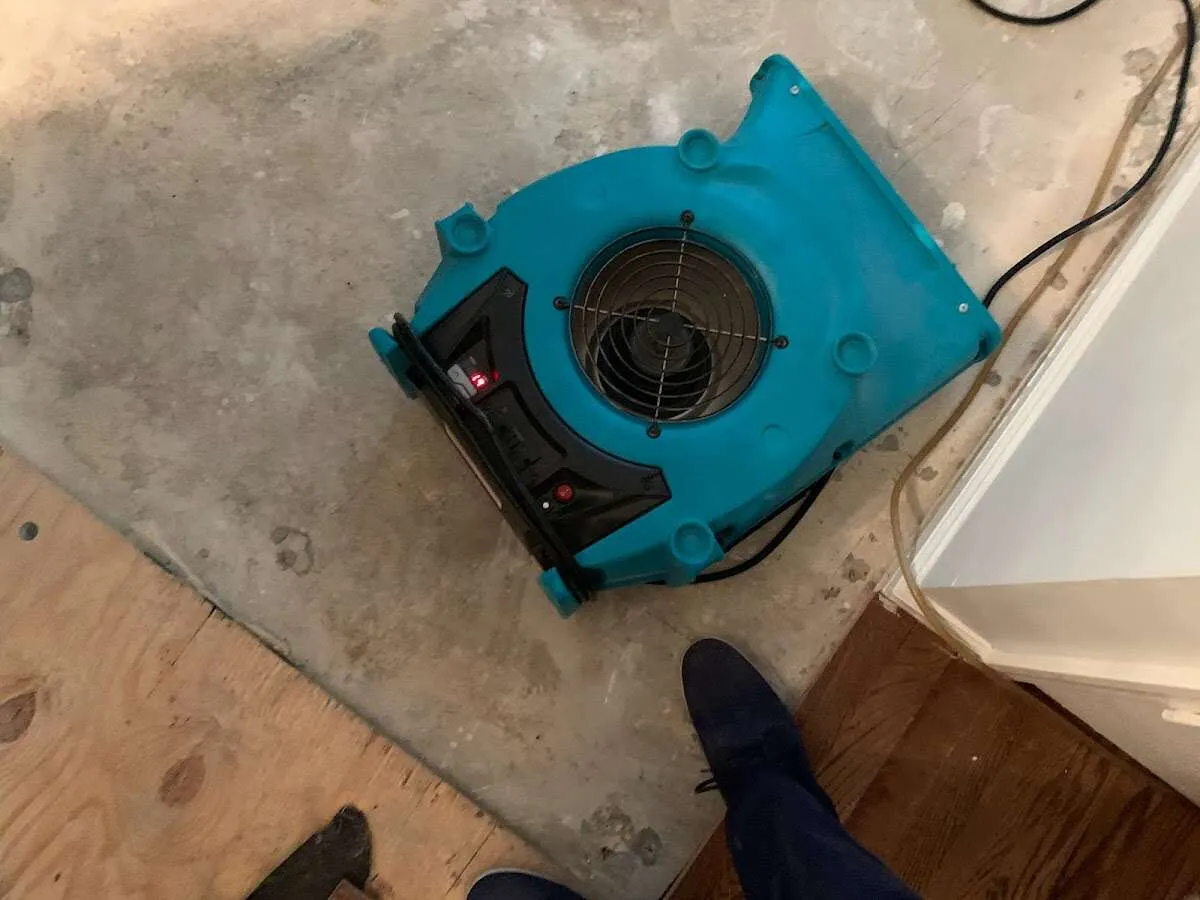 Air mover drying subfloor during Leak Detection & Repair in Fletcher